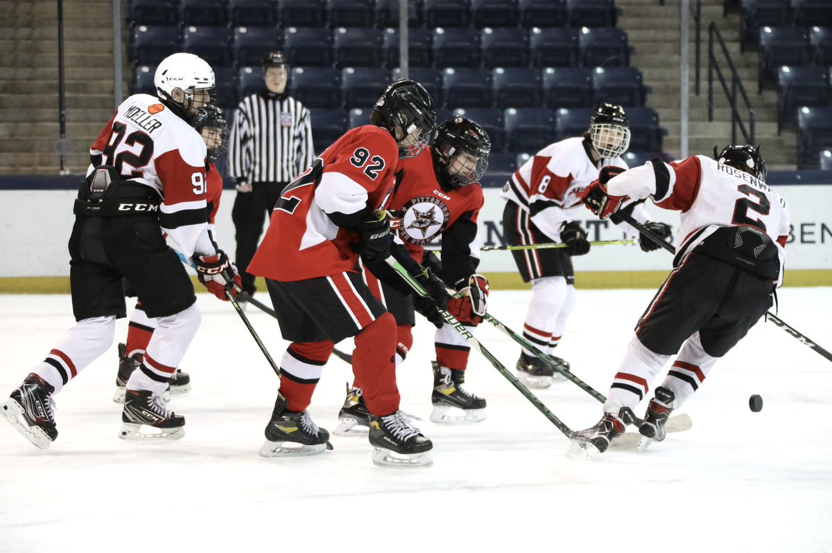 ViperStars16u's tweet photo. After 1 period here @NDCFIA 🍀

#ViperStars 2
#ArcticFoxes 0

#IRISHtournament
#SouthBend IN
#NotreDame 🍀
Game 4️⃣
16u Hockey AA #Pittsburgh https://t.co/HRZrxwiDPx