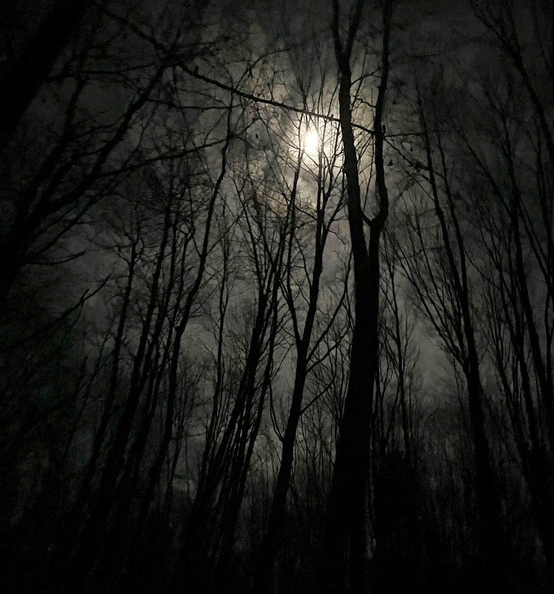 Bauman1967's tweet photo. Live from @devilslakewi on a moonlight snowshoe hike with Sue the park naturalist. https://t.co/a3q90FJyZI
