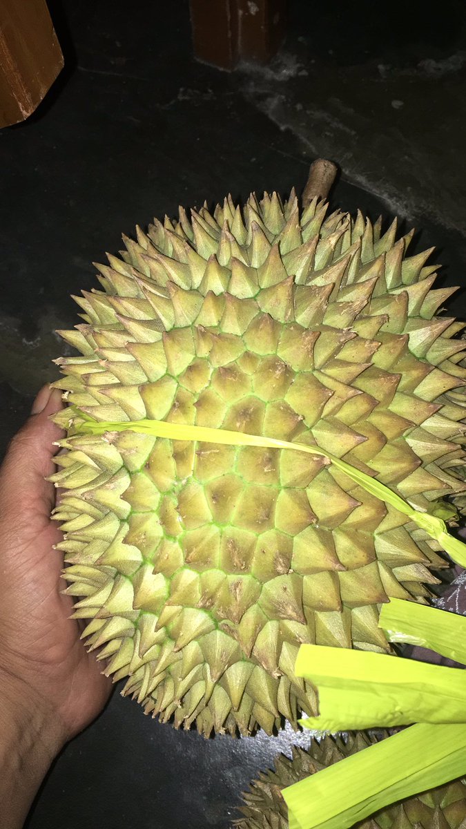 Triya2727's tweet photo. Buah durian lokal nya juga ready... https://t.co/g84f6QNjlu