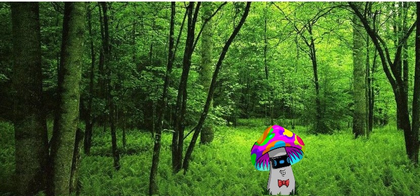 MushiesNFT's tweet image. Did you know that #Mushies grow in forests?
That&apos;s why we&apos;ve have partnered with @AcornToken and we are looking forward to create a safe environment together ❤ 

We can join at &quot;The Pond&quot; a special channel in their #Discord!
discord.gg/UhDsQxdB

#AlgoNFT #Algorand #algofam