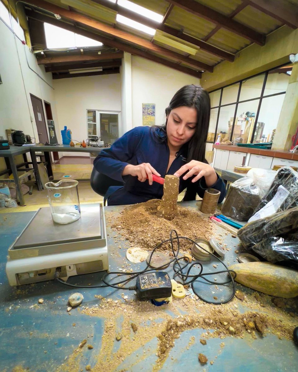 michellelvanova's tweet photo. Extracción de muestra de una calicata del Inga, para ensayo triaxial de suelos 🔬👩🏻🔬⚗️ #soilLab 🤎 https://t.co/oO9SGVyCKe