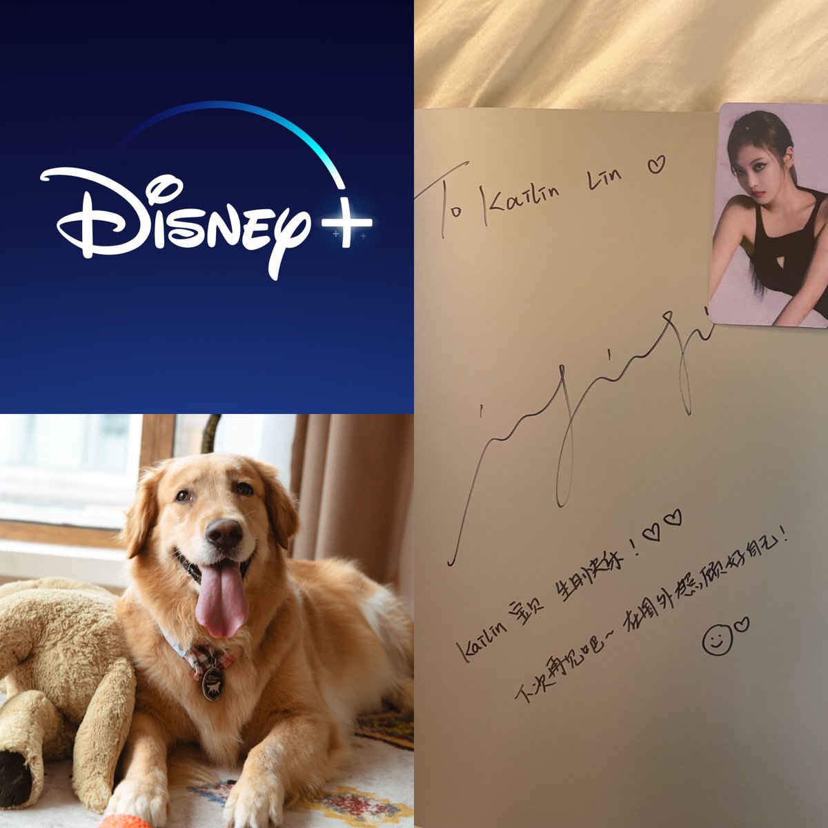 KailinLin0118's tweet photo. #315photointro #ccom315:
1. I am a #DogLover and this is my dog. Her name is Tangtang.
2. I spend most of my spare time on @disneyplus .
3. I love the kpop girl group @aespa_official and my bias is #NINGNING from China.This is a signed album from her with my name on it. https://t.co/FxF4WHqyPM