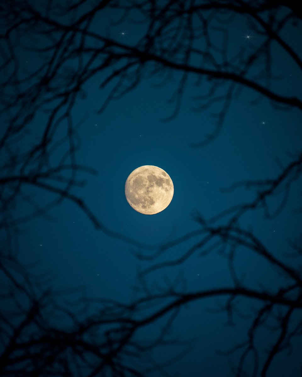 K_Wicksy's tweet photo. GN everyone. 🌔✨ Always remember to keep looking up! https://t.co/1OwODinS9H