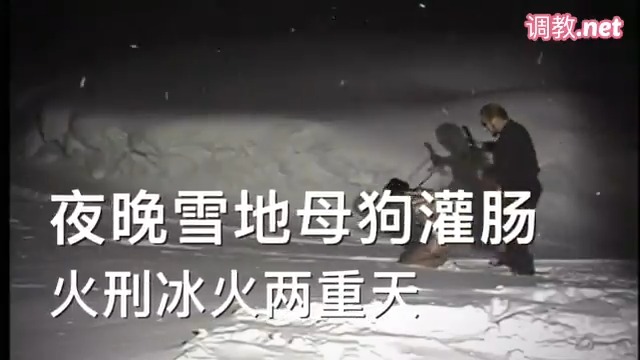 Video preview: 【夜晚雪地母狗灌肠 火刑冰火两重天】
你们的城市下雪了么?
在雪地里调教女M,真的是很刺激啊。
冻死