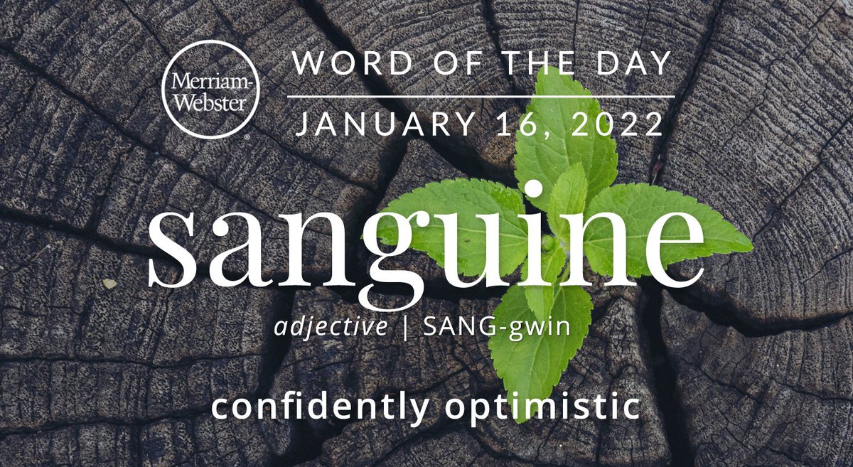 MerriamWebster's tweet photo. Good morning! Today's #WordOfTheDay is 'sanguine' https://t.co/LpIm2Vk12P https://t.co/hEP9STLFGO