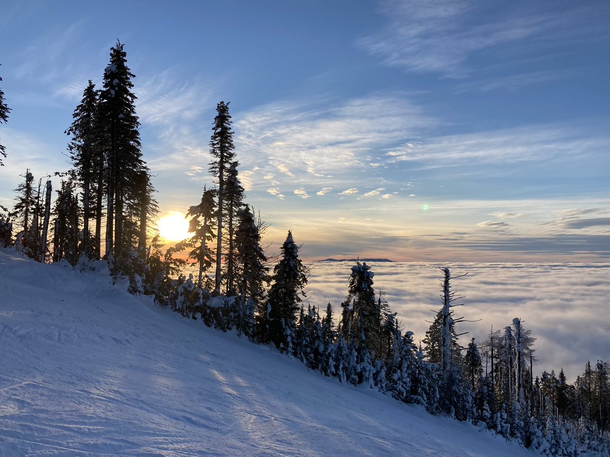 Don Pawluk tweet media