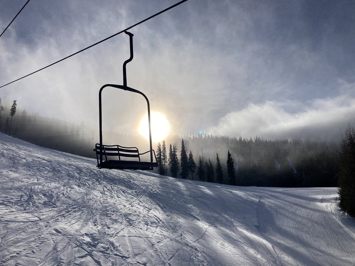 Don Pawluk tweet media