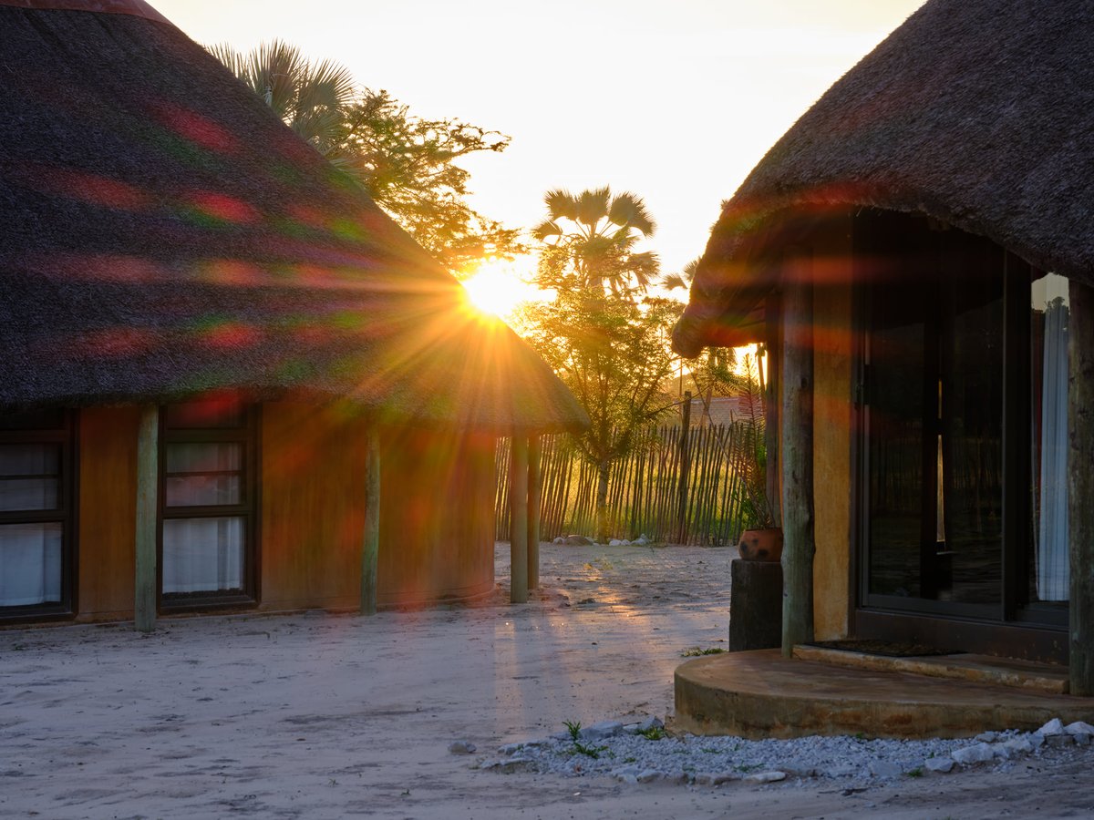 date_africa's tweet photo. 🇳🇦Nambibia : Experience the culture and enjoy some traditional cuisines at Ongula Village Homestead Lodge
#utdatourism #utdanamibia #utdaongula_village_homestead_lodge #utdainfo #utdacuisine https://t.co/uIZG2GcJAn