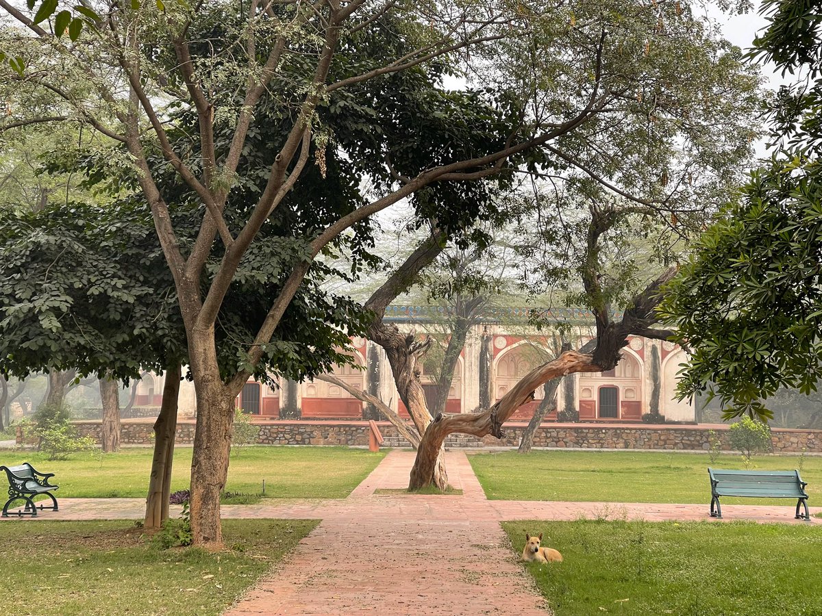 thedelhiwalla's tweet image. Thank You for Not Coming. I Also Didn’t Make it. We Never Fell in Love. We Were Spared of Each Other’s Tenebrosity.