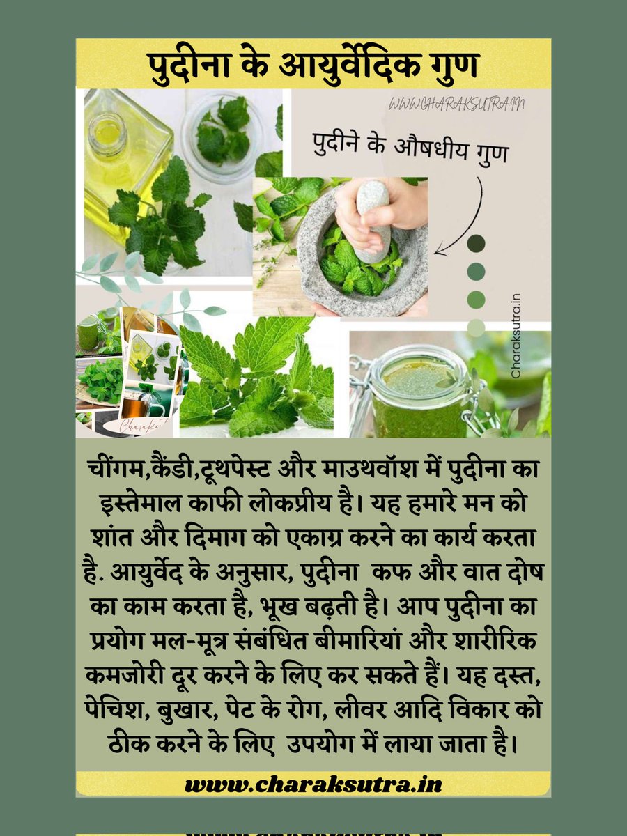charaksutra's tweet photo. https://t.co/o3sFJXjooY
#health #healthcare #fitness #yoga #पुदीना #pudina #ayurveda #healthtips #आयुर्वेदा #charaksutra https://t.co/V6KKGwPvgB