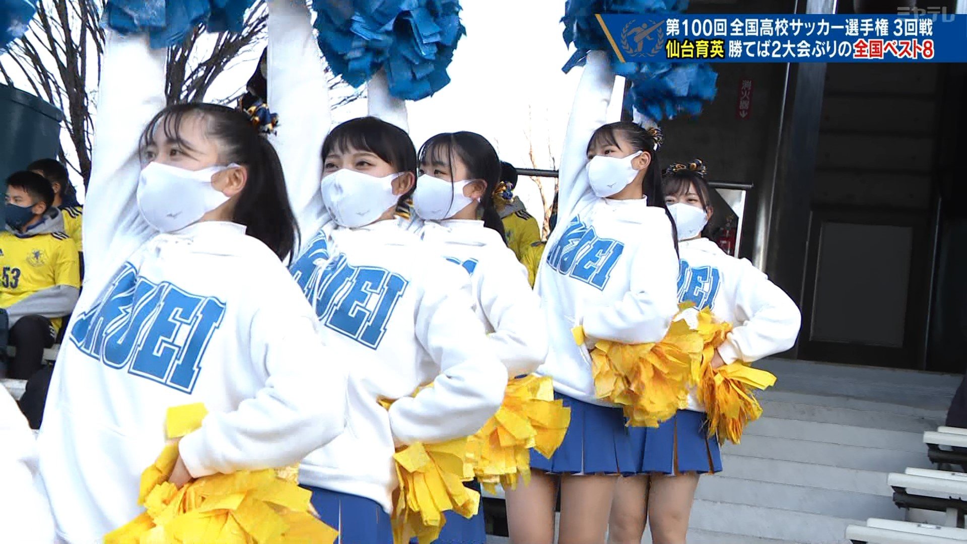 仙台育英チアガール 