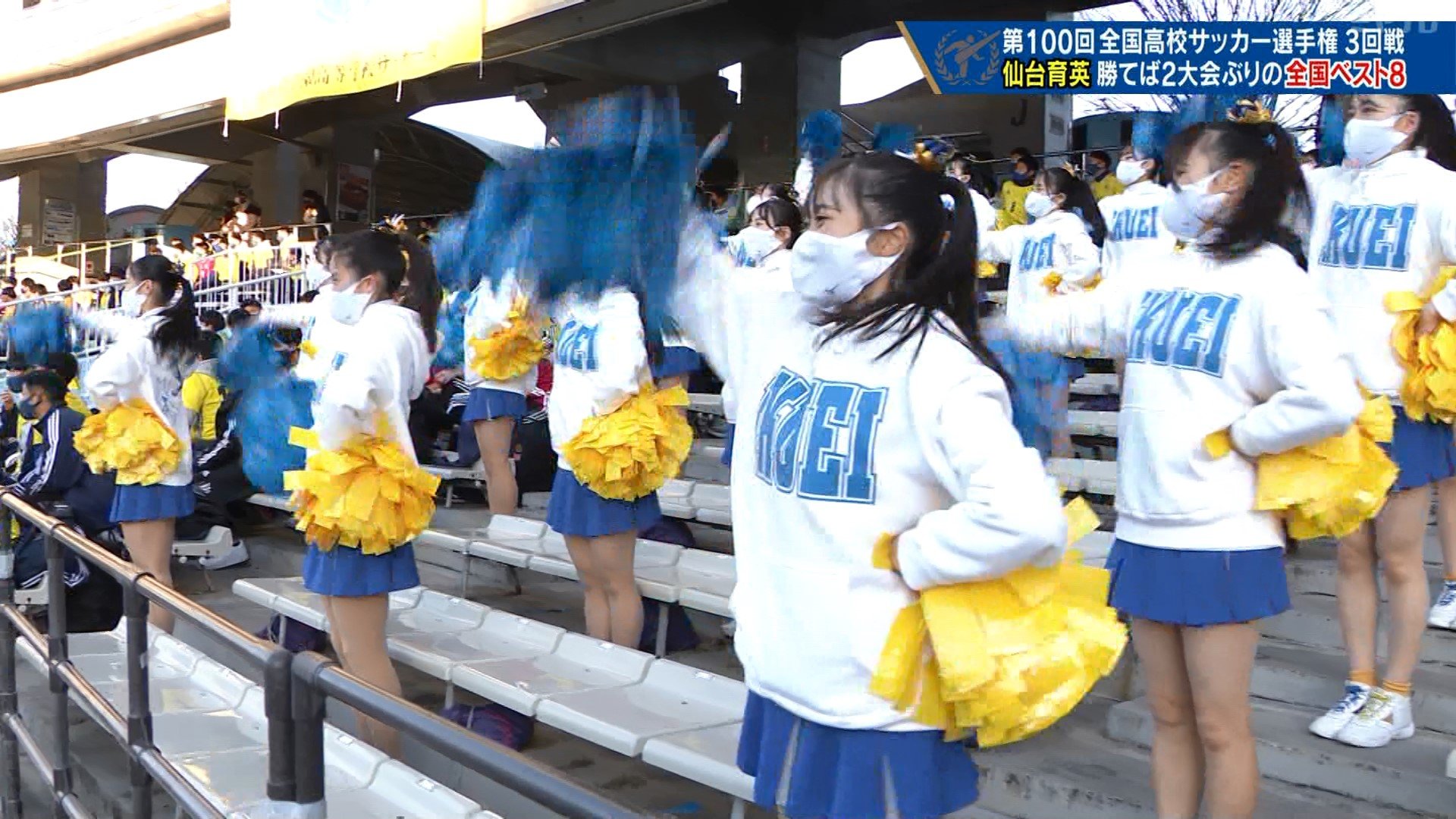 ま*る様 仙台育英　チアポンポン　マチ付きトートバッグ　　応援グッズ　甲子園 ま*る様 仙台育英 チアポンポン マチ付きトートバッグ 応援