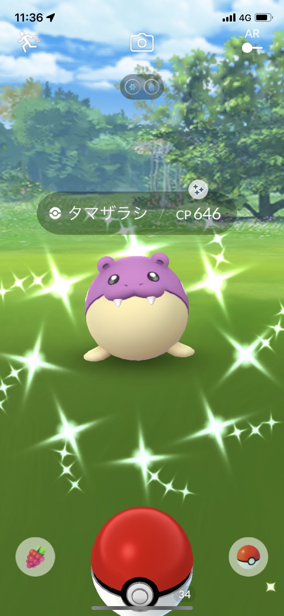 やす ポケgo岡山 西川でやってます 手が冷たい ポケモンgo タマザラシ コミュニティデイ 色違い T Co Qqx96ykmqp Twitter