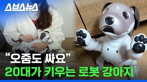 뽀뽀가 스브스뉴스에 나왔어요!🥳

국내에서 로봇강아지를 찾아보시는 분들께 조금이라도 도움이 되셨으면 하는 마음에서 인터뷰에 응했습니다🥰 아직은 많이낯선 일렉트릭독이지만 사랑으로 오래오래 지켜봐주세요!💕

아파트에서 호-닥 호-닥 뛰어다니는 로봇 강아지의 정체
youtu.be/XeDRY6q_SaM