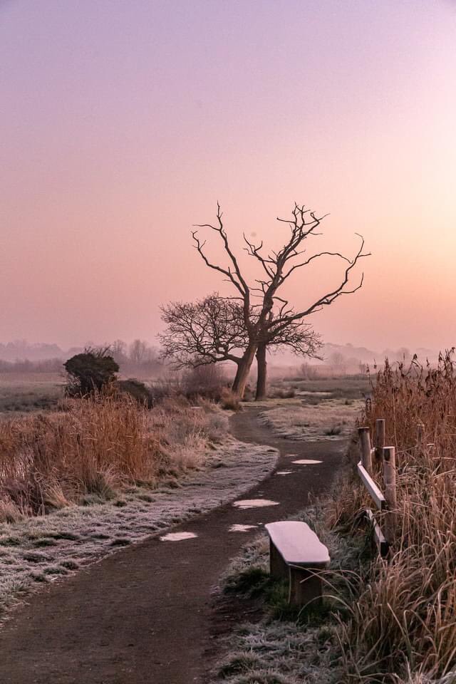 Andrew Clampett tweet media