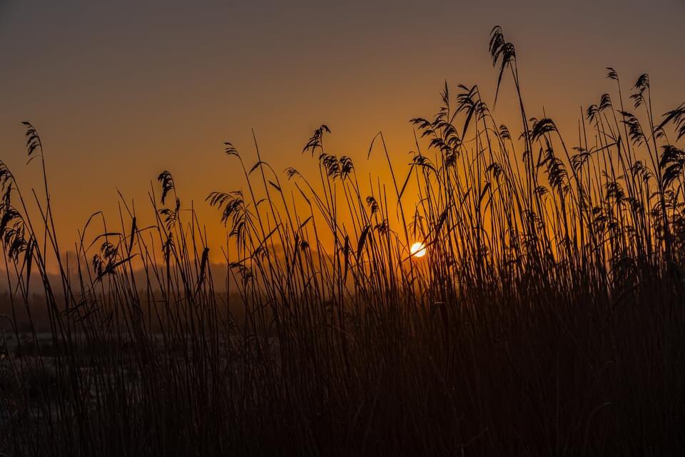 Andrew Clampett tweet media