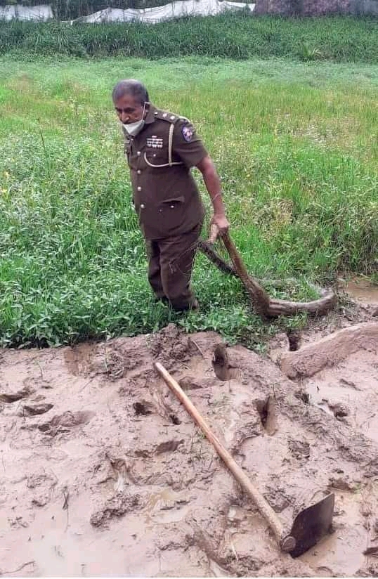 There are good cops &amp; bad cops &amp; then there is this cop. Got tired of a 15ft python harassing villagers in Ulmolliya in Kumbalgamuwa, Walapane so he went out and caught the fellow with his bare hands!! Safely handed over to Keerthibandarapura Wildlife Dept. #Police #SriLanka