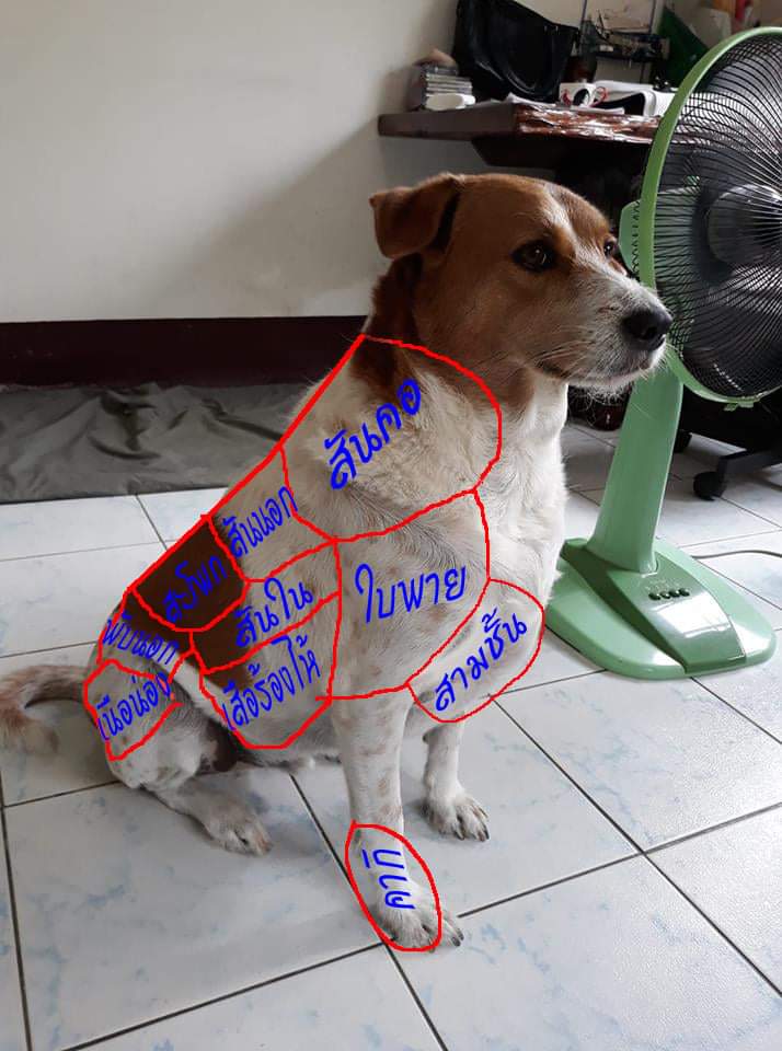 หมูมันแพงกินมึงละกันเจ้าหมา