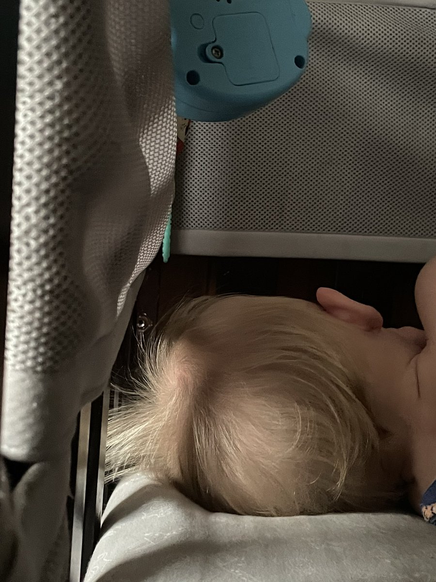 Sfwood12's tweet photo. little things <3 https://t.co/BQSTZ21858