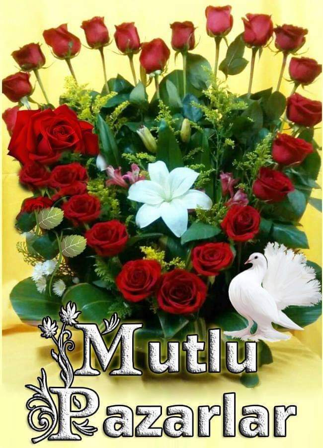 EmirFuat11's tweet photo. @mAIGS58 @Kazimyusuf7 Günaydın mutlu günler https://t.co/7L1ubMdf0H