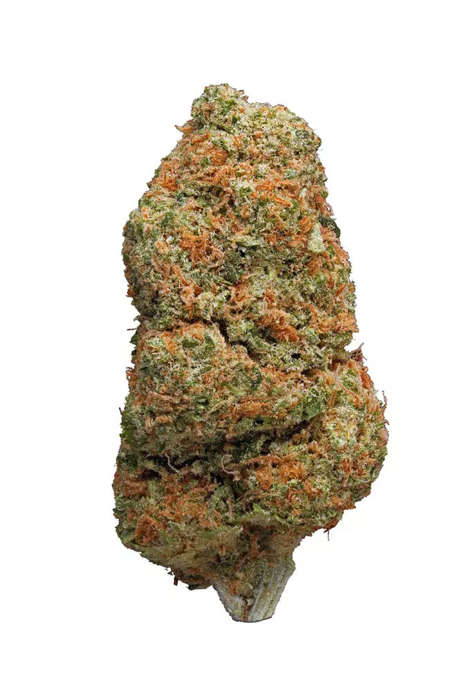 wavyfarmco's tweet photo. Imagine enjoying the Northern Lights strain , while watching the northern lights ✨🌌 https://t.co/V7xQH0a611
