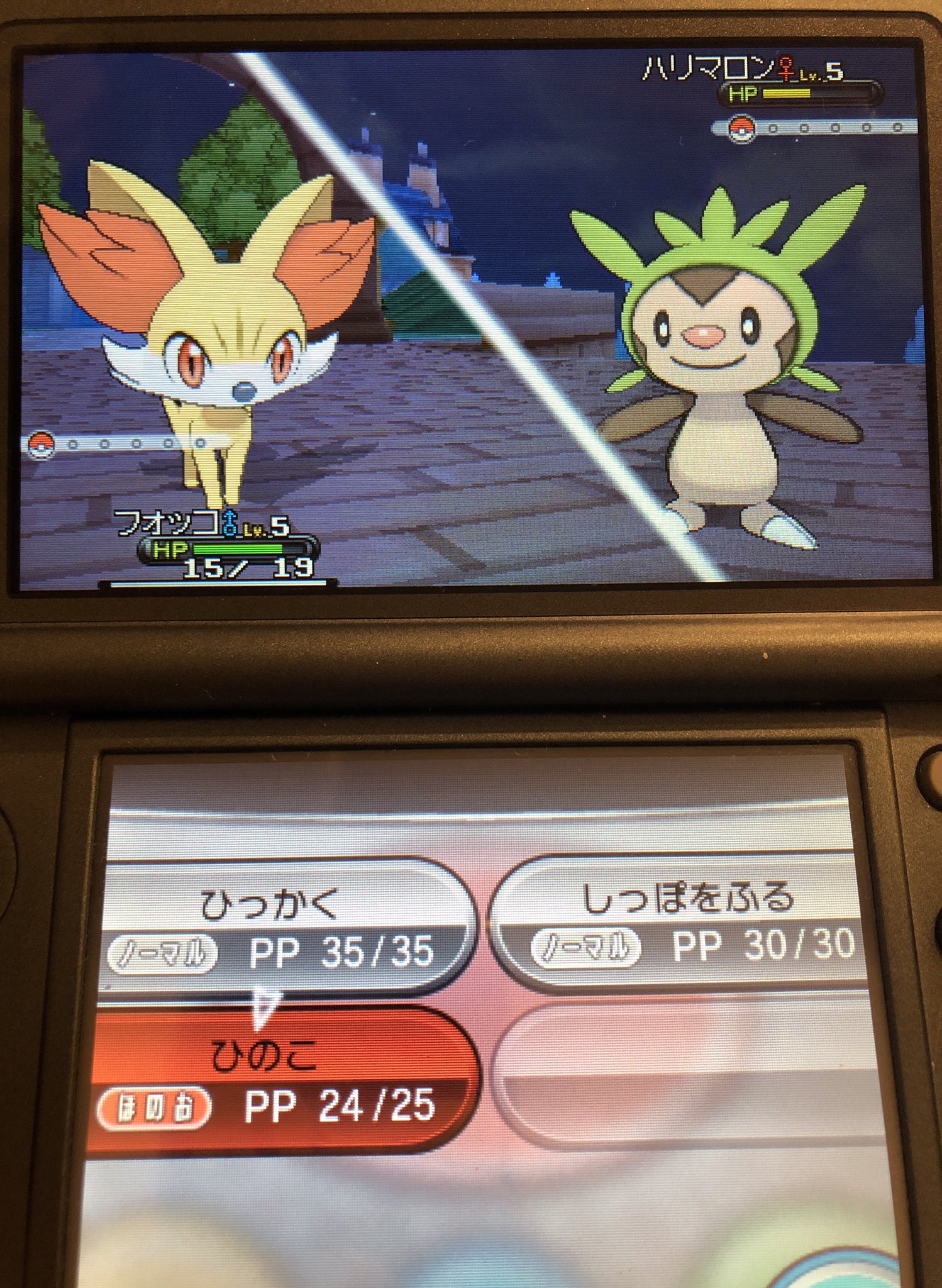 ポケモンxｙ Twitter Search Twitter