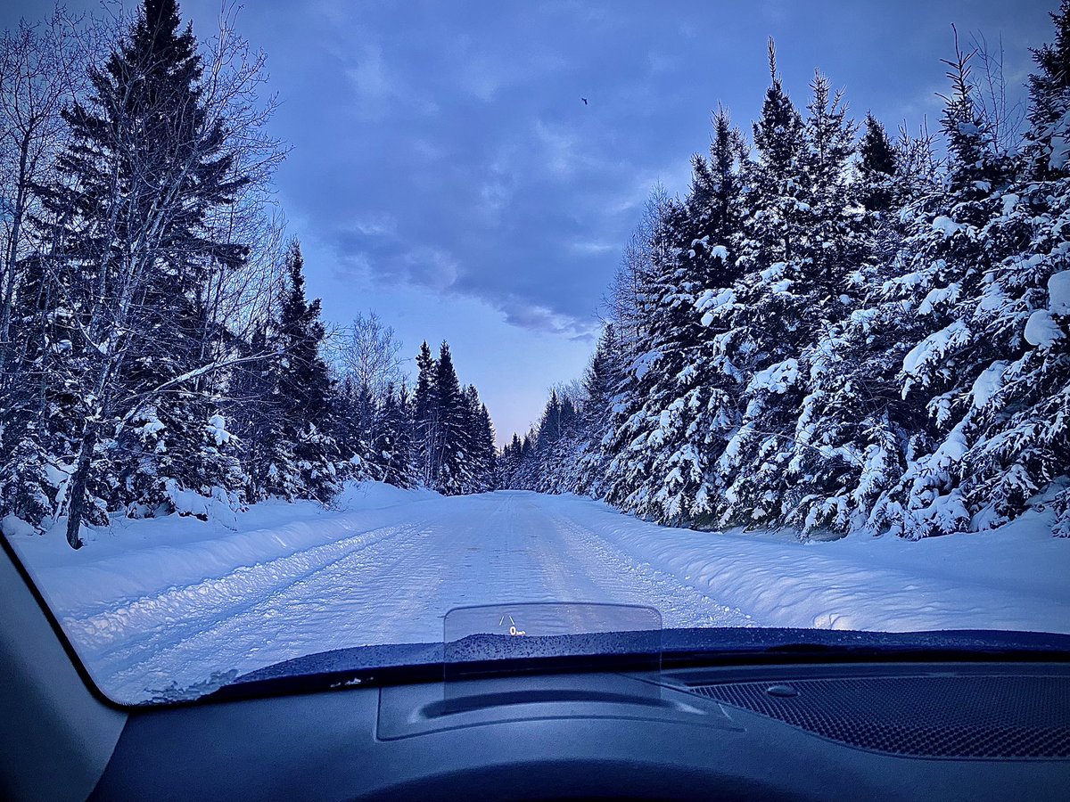 ChristinaKottm2's tweet photo. Driving through the snow north. (Had stopped to take this photo. No Moose or Deer today, maybe tomorrow. #GoodAfternoon #EarlyMorningPhoto #woods #outdoors #outdriving https://t.co/rtVmn7NljK