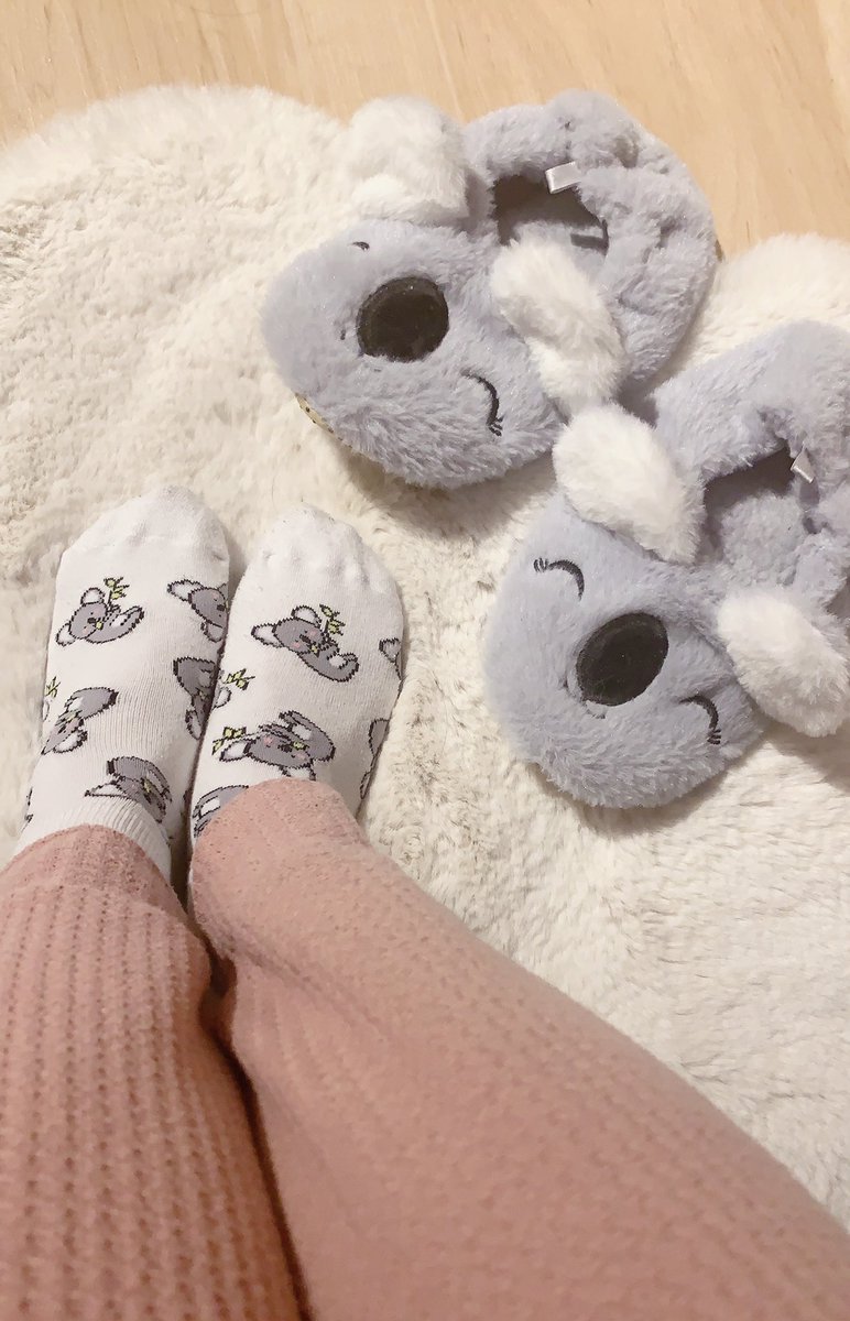 yevliii's tweet photo. I told you I have Koalas ๐จ everywhere in my room~ ๐๐ #mybabies #favanimal #koalas https://t.co/o4h8DqxePu