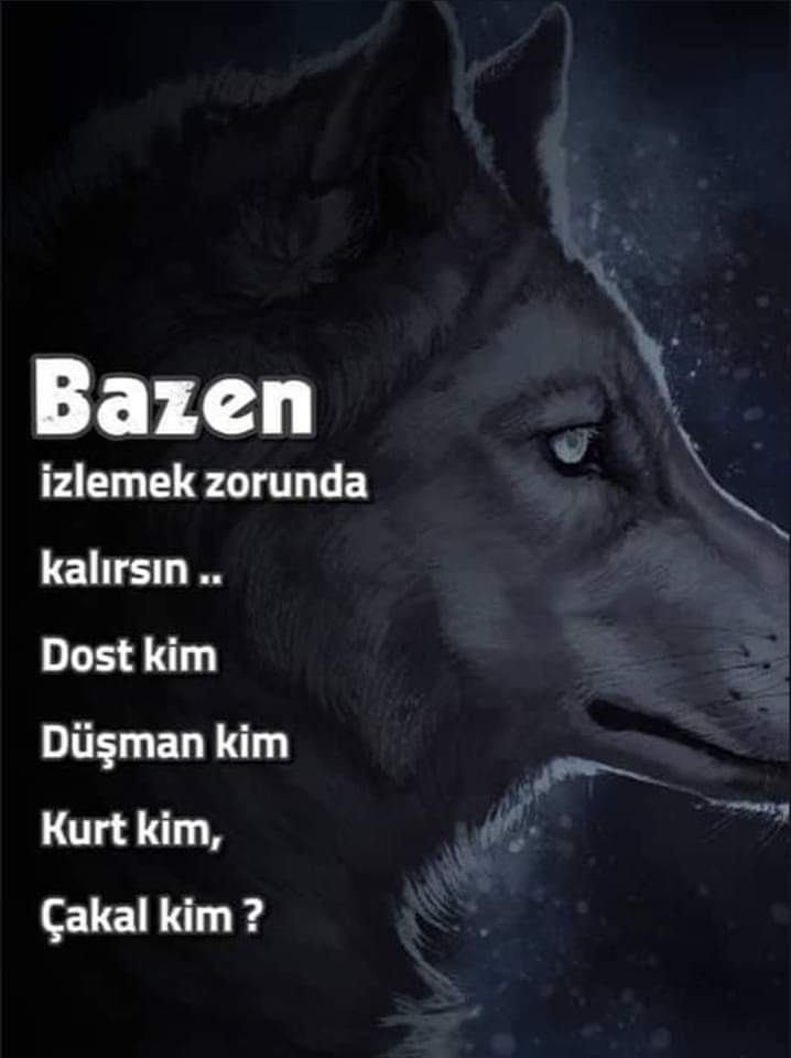 Soğuk bir pazar sabahından GÜNAYDIN esen kalın 
🇹🇷🐺🇹🇷🐺🇹🇷🐺🇹🇷