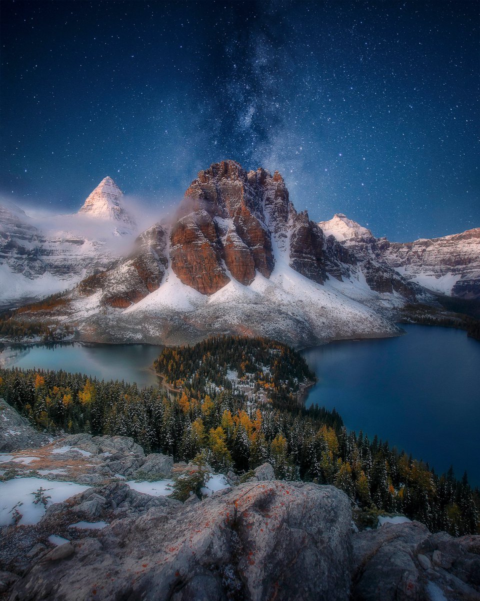 Elliott Chau tweet media