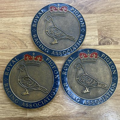 mick_pigeon's tweet photo. #NewProfilePic https://t.co/qkB3KqgpTh