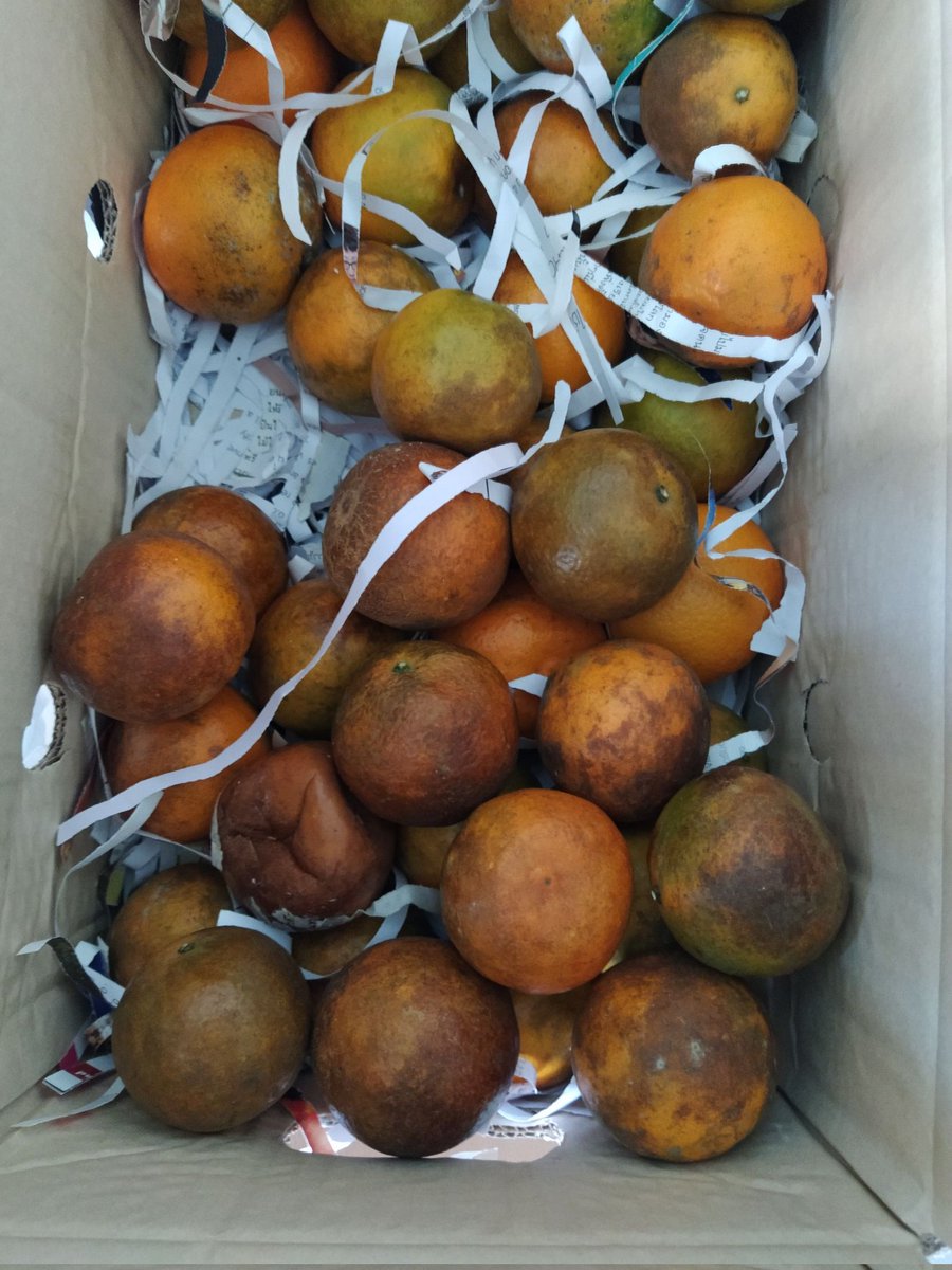 เห็นมันถูกดี tweet media