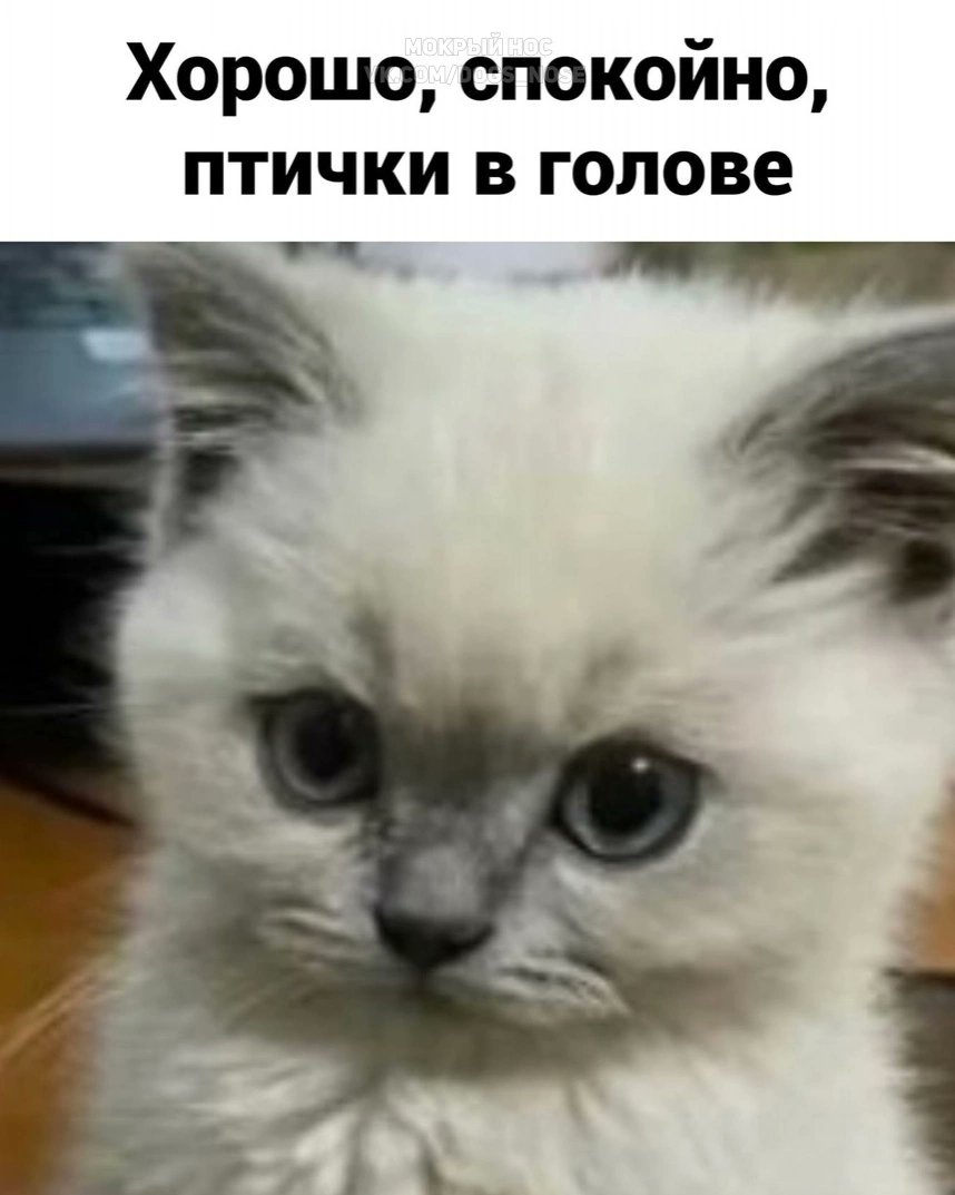 🤣🤣🤣Простите))