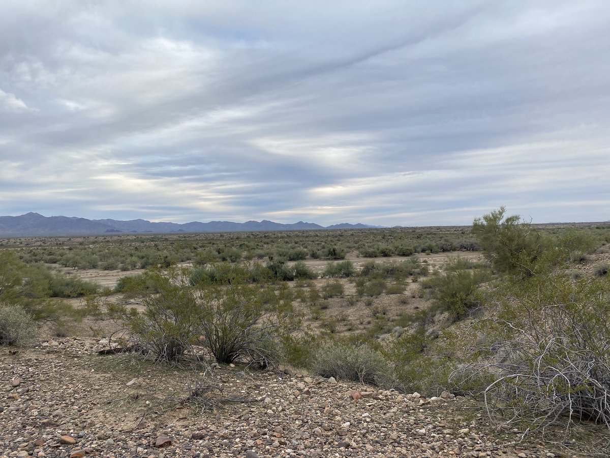 EvanShort's tweet photo. Exhausted. A sleepless, extremely windy night but the search volunteers pulled off covering 428 acres of desert today. We just got home and unloaded the truck. Unfortunately the truck will need to go in to the shop for some repairs after this weekend. https://t.co/EYWo5itE2k