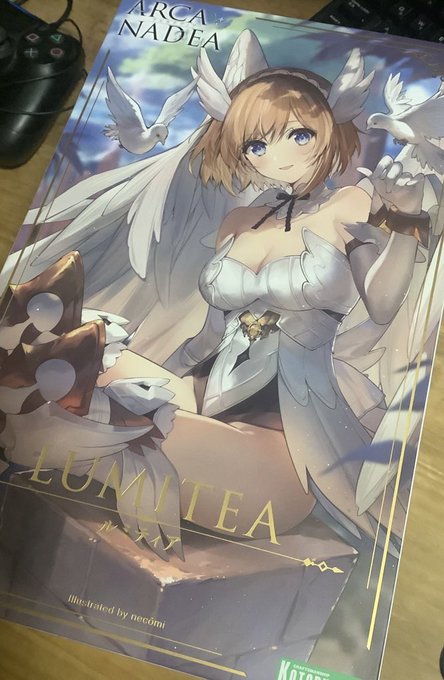 そして一目惚れしてポチったルミティア届いた。
プラモ経験0で果たして組めるのだろうか 