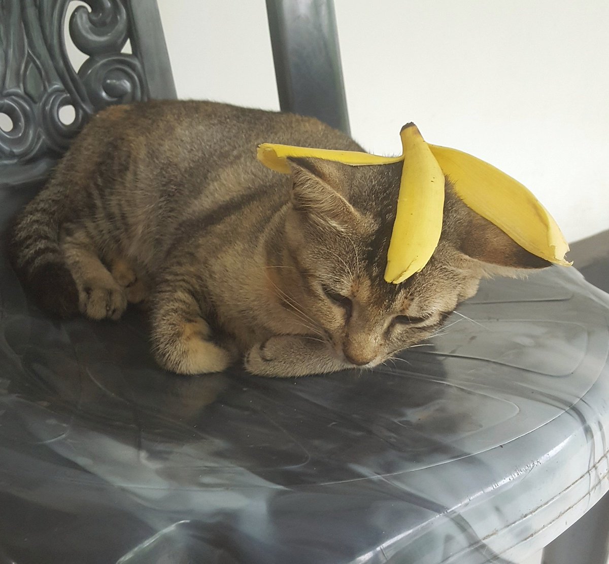 I made this using only CSS