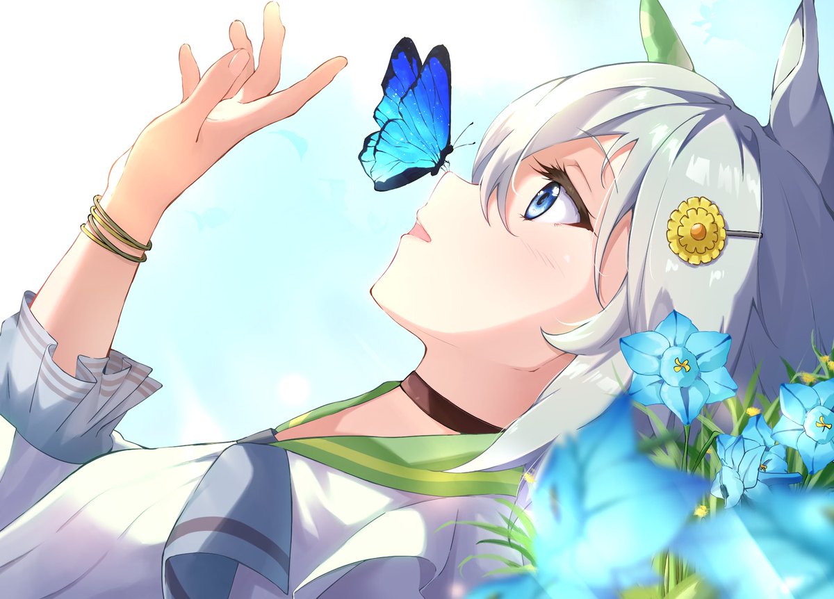 seiun sky (umamusume) 1girl bug butterfly animal ears blue eyes horse ears hair ornament  illustration images