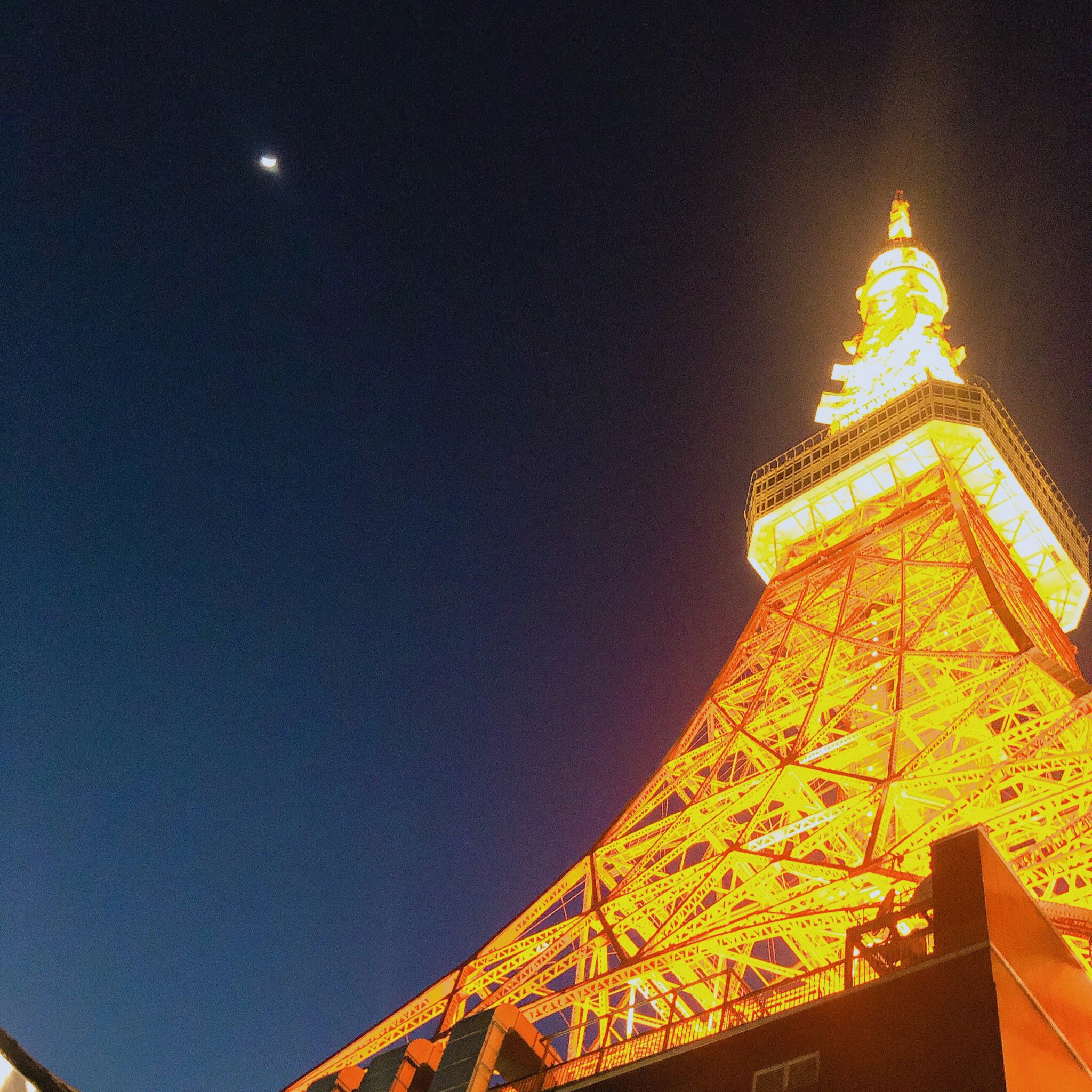 ゆけ 昔ね 東京タワーでね ワンピースタワーっていうone Pieceのテーマパークがあって アトラクションとかステージがあって馬鹿みたいに通ってたんだよ 始発から閉園まで居たな また復活してほしい T Co 5mt0wgbhqv Twitter