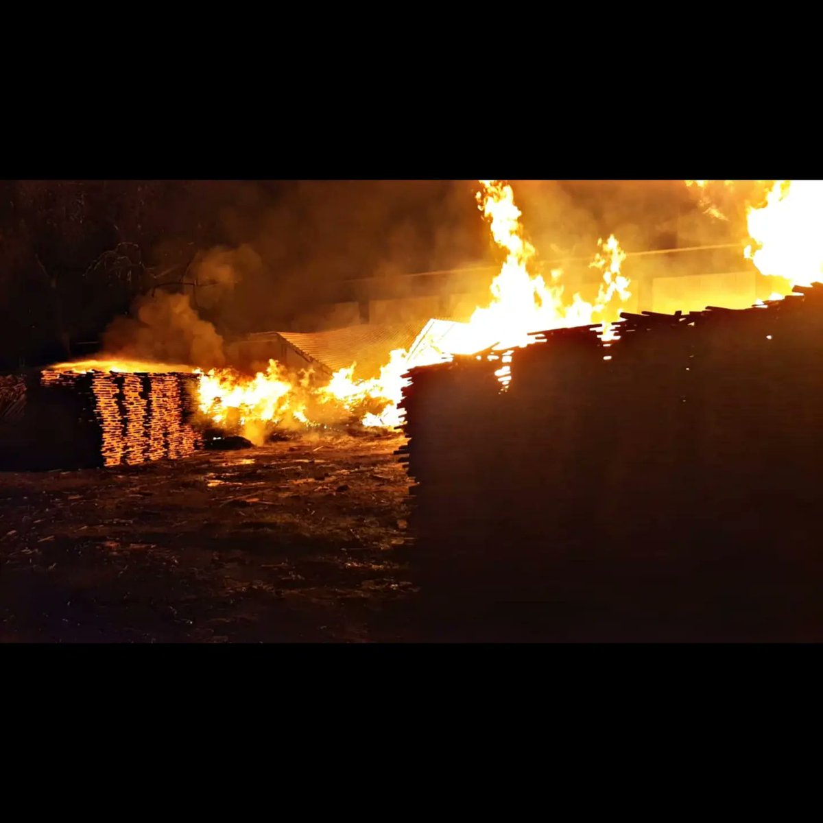 Ahmedabad Fire Department tweet media