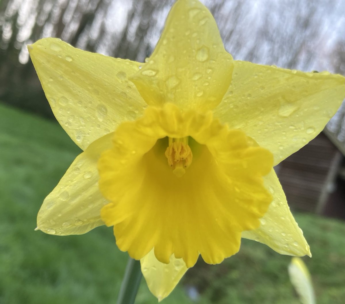 Out for a walk? Why not pop in to Sailor V for breakfast, Sunday lunch or just a hot drink. Sunday Roast from 12.00 #salcombe