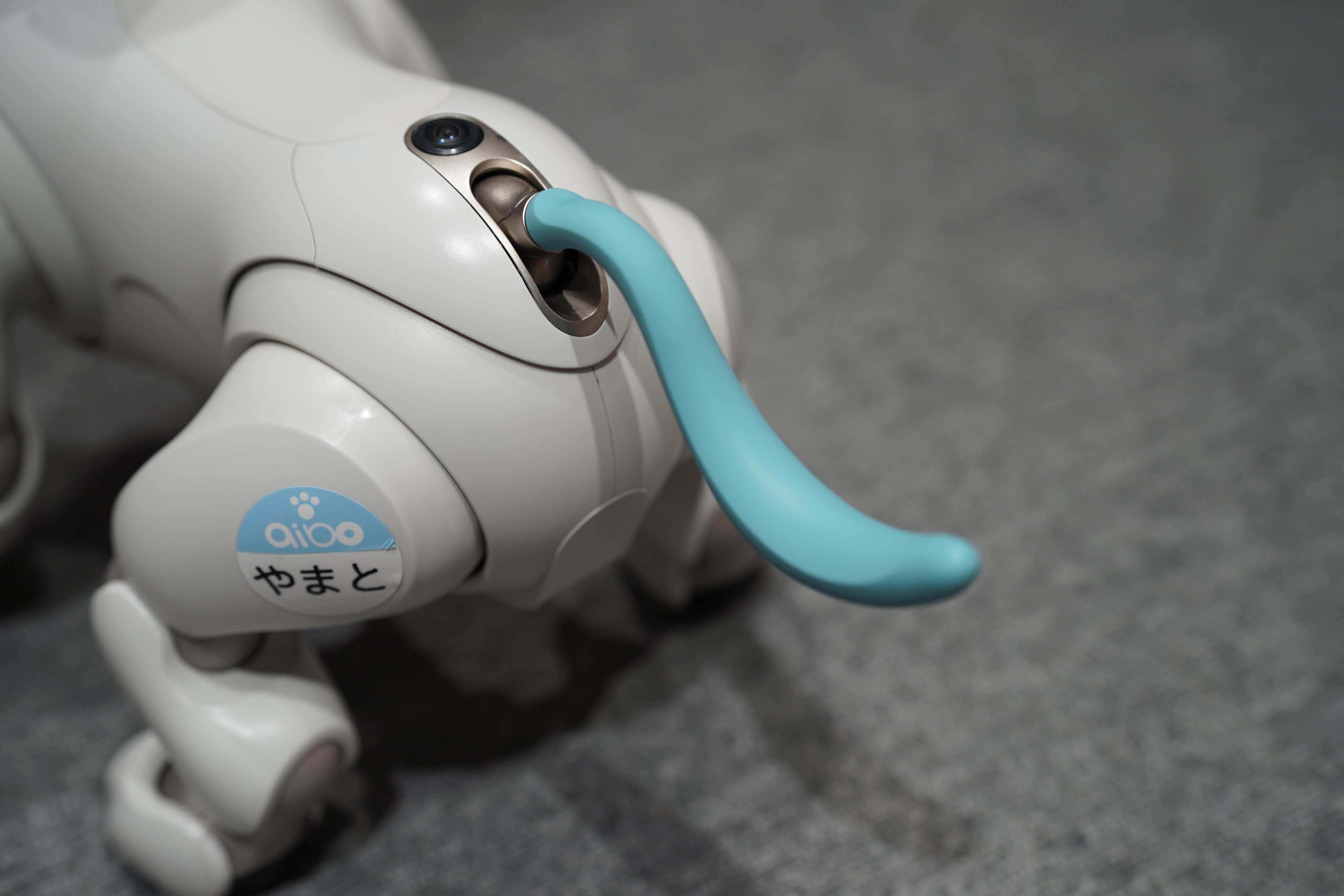 超激レア品 ‼️】SONY AIBO アイボ アペリオス メモリースティック