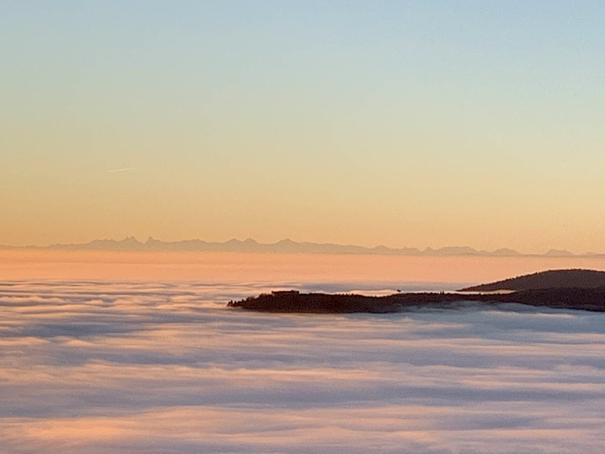 aurelien_al's tweet photo. #sunrise over Alsace https://t.co/MIAX6uWmqQ
