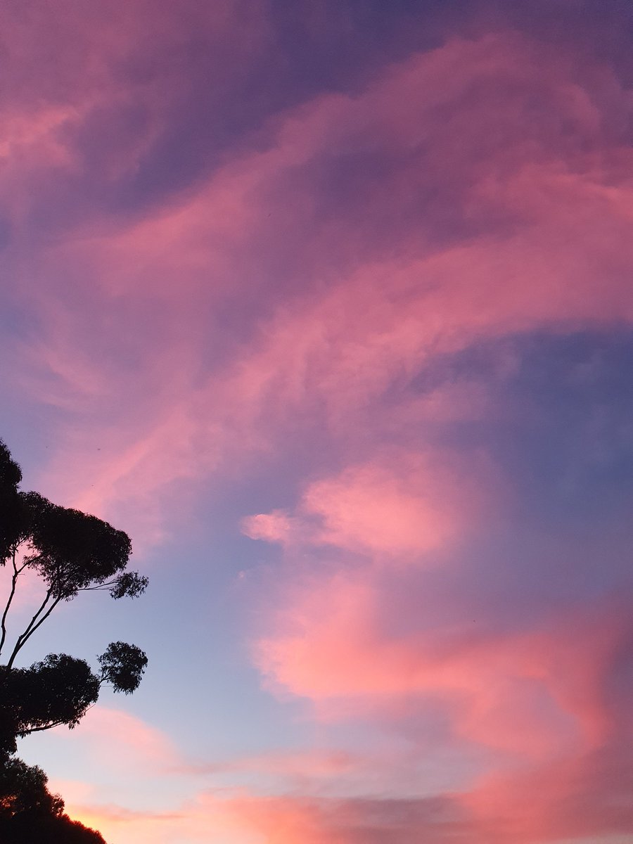 rnettee's tweet image. 