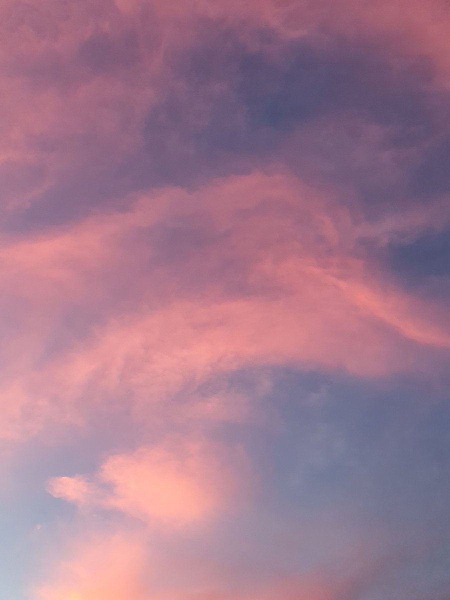 rnettee's tweet image. 