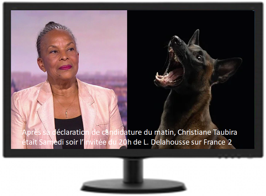 polovergnat's tweet photo. #taubira2022 #taubira #LaurentDelahous https://t.co/DjzSuwA7Iv