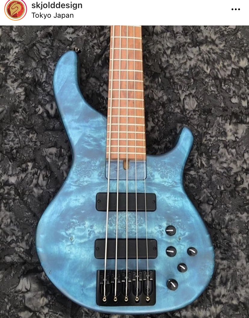 DarrellCBassist's tweet photo. Amazing! #blue #bass #bassguitar #guitar #bassbuilder https://t.co/xLP56kOkNp