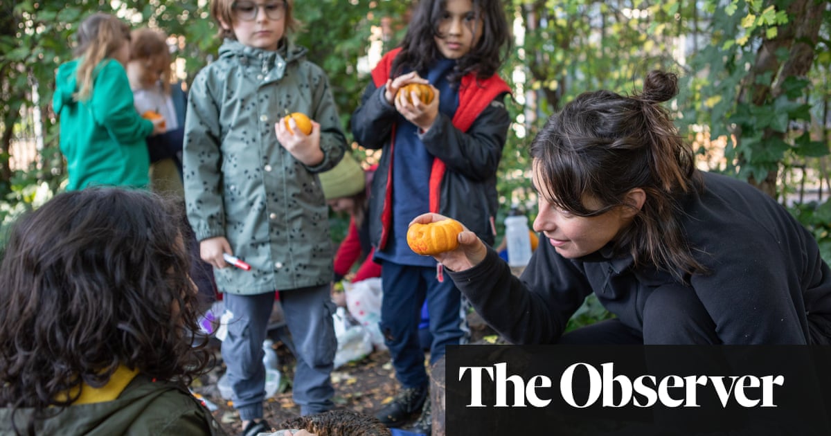 Forest schools flourish as youngsters log off and learn from nature theguardian.com/education/2021…