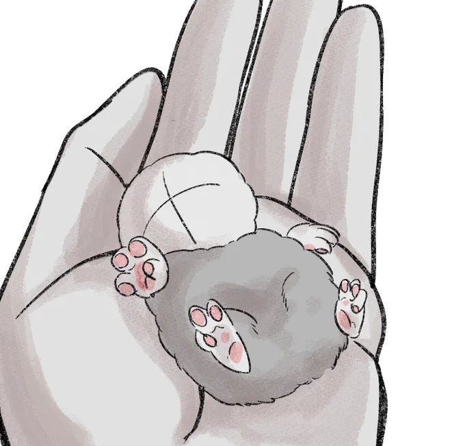 #一日一MC #madnesscombat
🐹 
