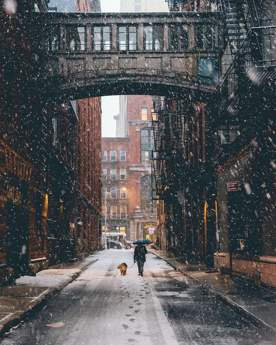 BebuCesco's tweet photo. Snowfall ❄️ In NYC ~ © ShazzyShow 𝘝𝘪𝘢 𝘐𝘯𝘴𝘵𝘢𝘨𝘳𝘢𝘮 https://t.co/1tCZS2ToeQ
