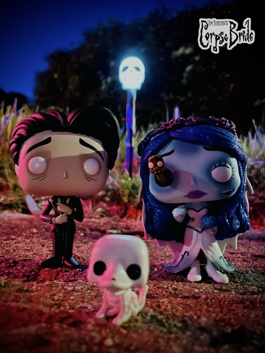 PopTartDU's tweet photo. Victor, Emily and Scraps from #corpsebride

#FunkoPops #funkophoto #funkopop #funkopopphoto #funkophotography https://t.co/6ip9JiaXD7